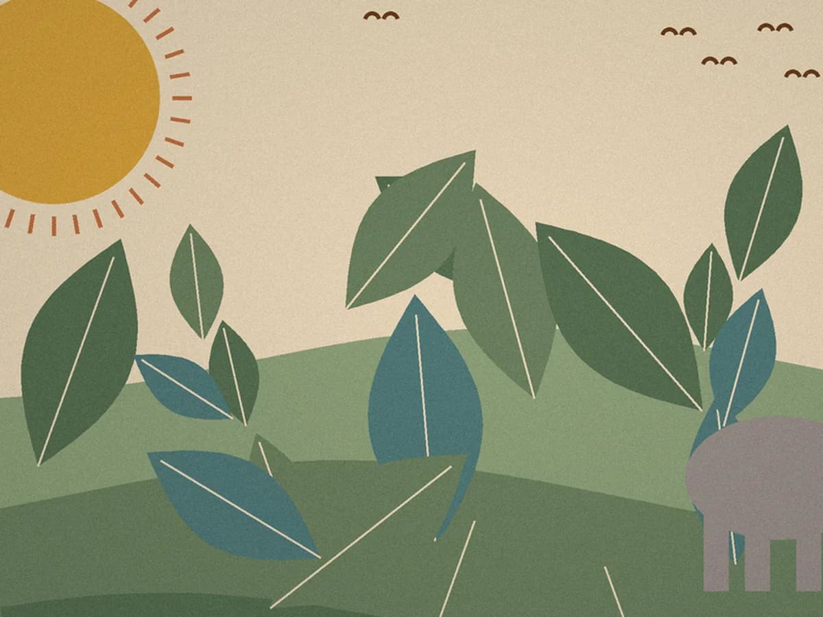 Detail of the jungle leaves and birds
